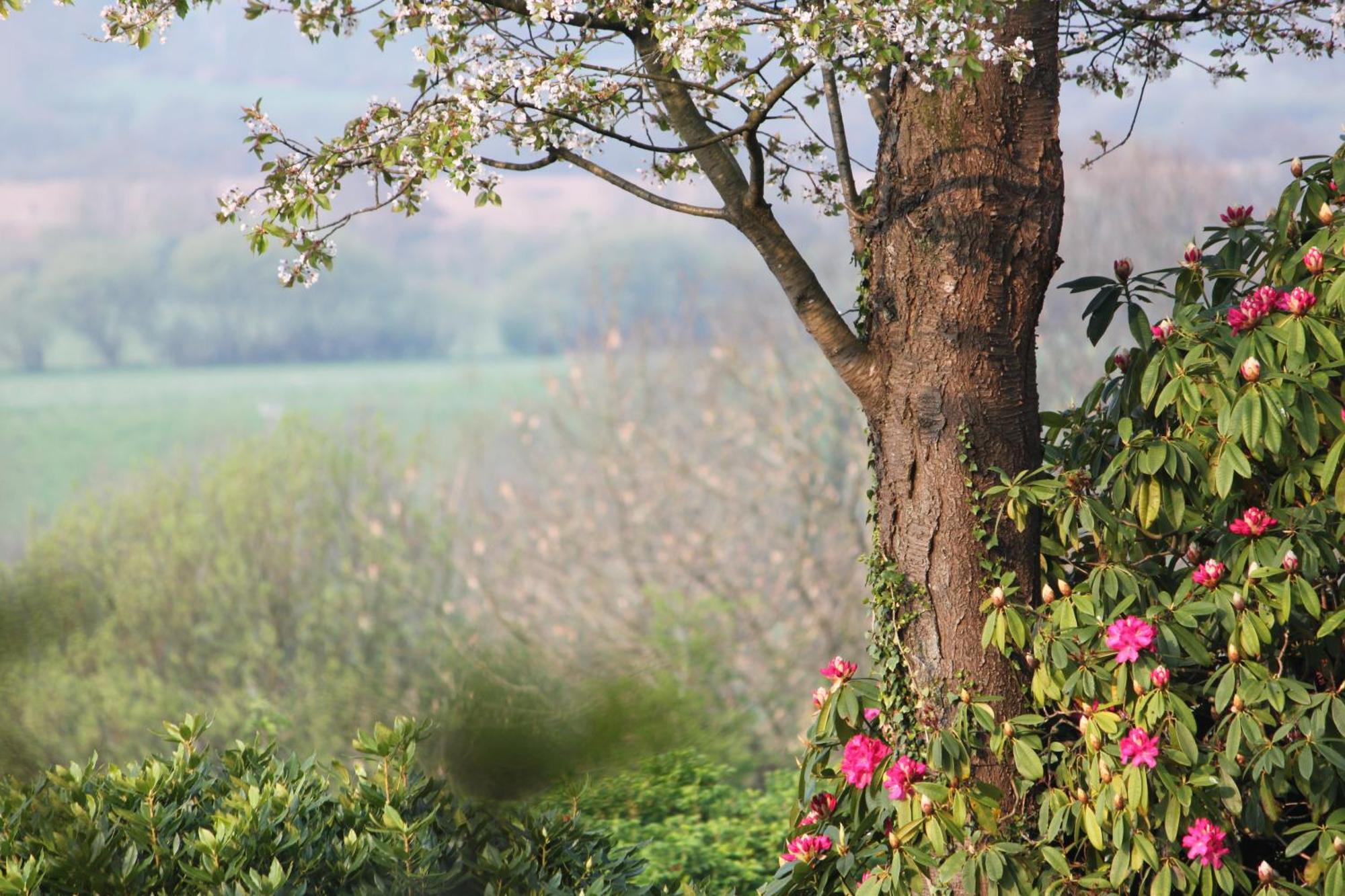 Lyzzick Hall Hotel Applethwaite Dış mekan fotoğraf
